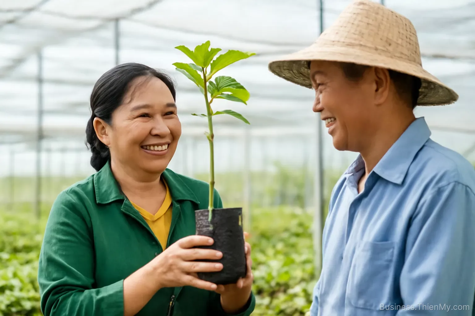 Nghề bán cây giống: ngành mà khách phải đợi bốn năm mới biết mình bị lừa