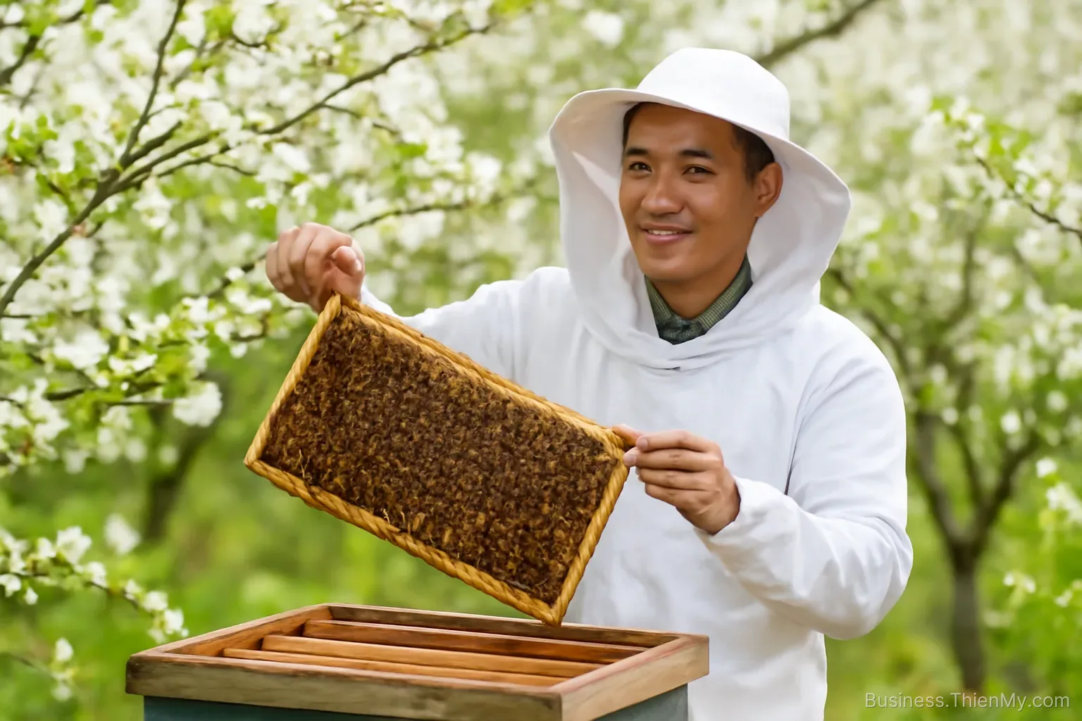 Sản phẩm giá trị nhất của con ong không phải mật, và người nuôi ong Việt gần như chưa bán nó